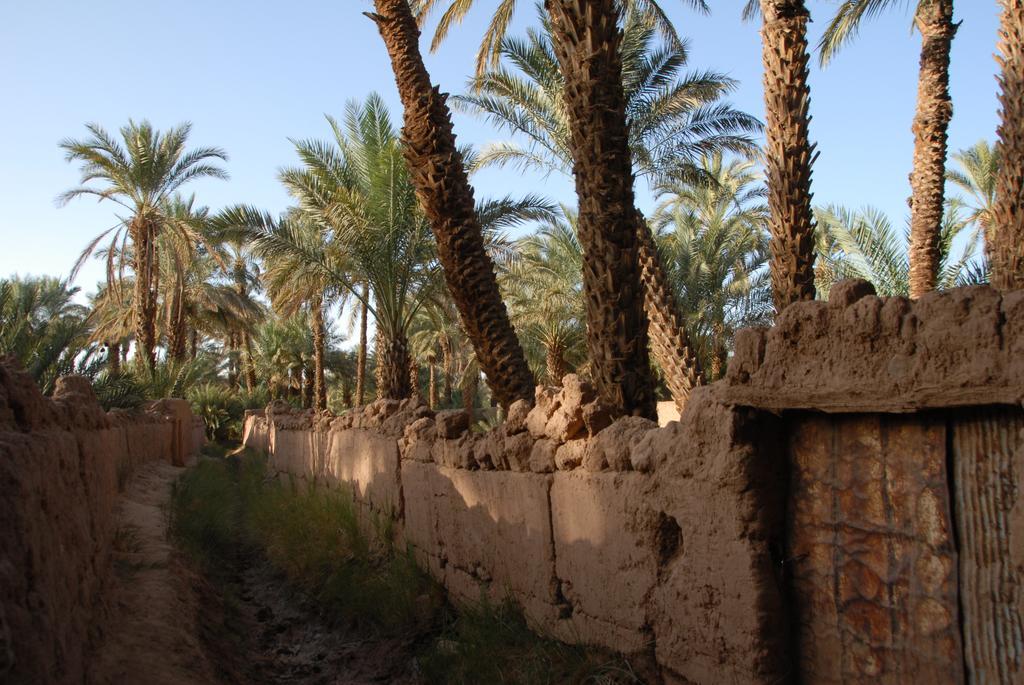 Villa Zagora Ma Villa Au Sahara Екстер'єр фото