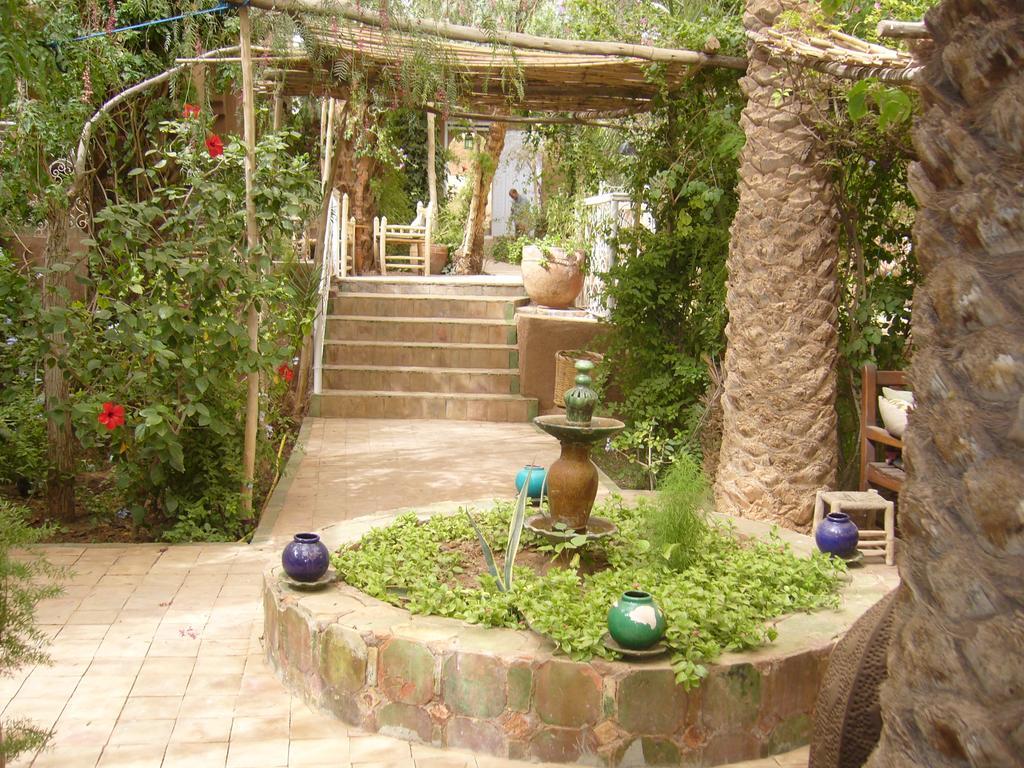 Villa Zagora Ma Villa Au Sahara Екстер'єр фото