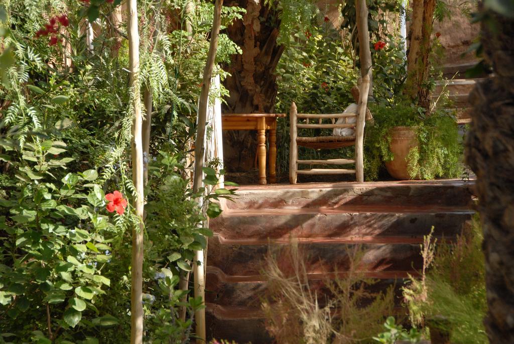 Villa Zagora Ma Villa Au Sahara Екстер'єр фото