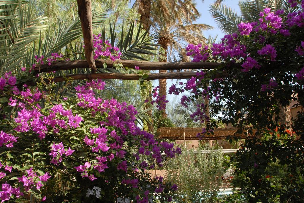 Villa Zagora Ma Villa Au Sahara Екстер'єр фото