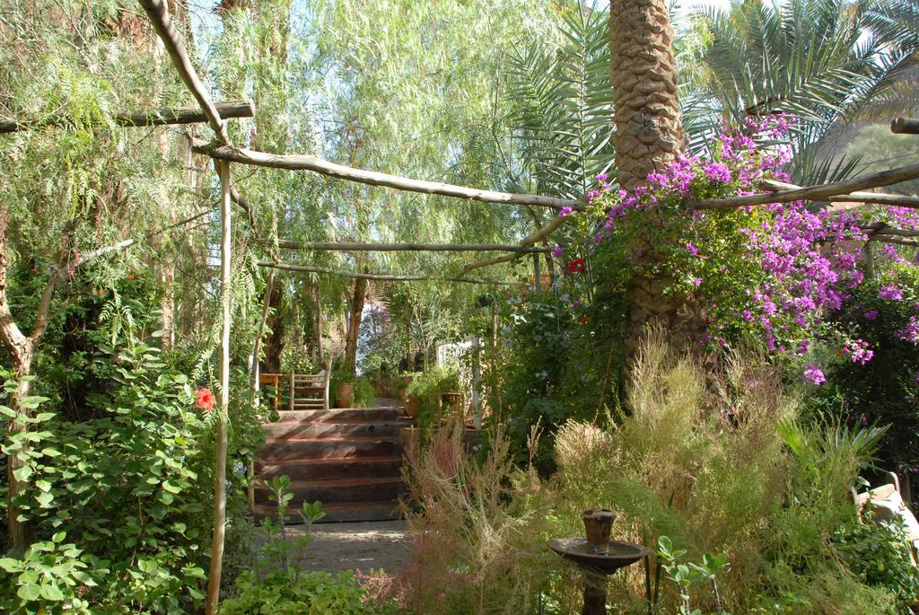 Villa Zagora Ma Villa Au Sahara Екстер'єр фото