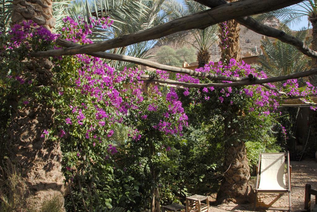 Villa Zagora Ma Villa Au Sahara Екстер'єр фото