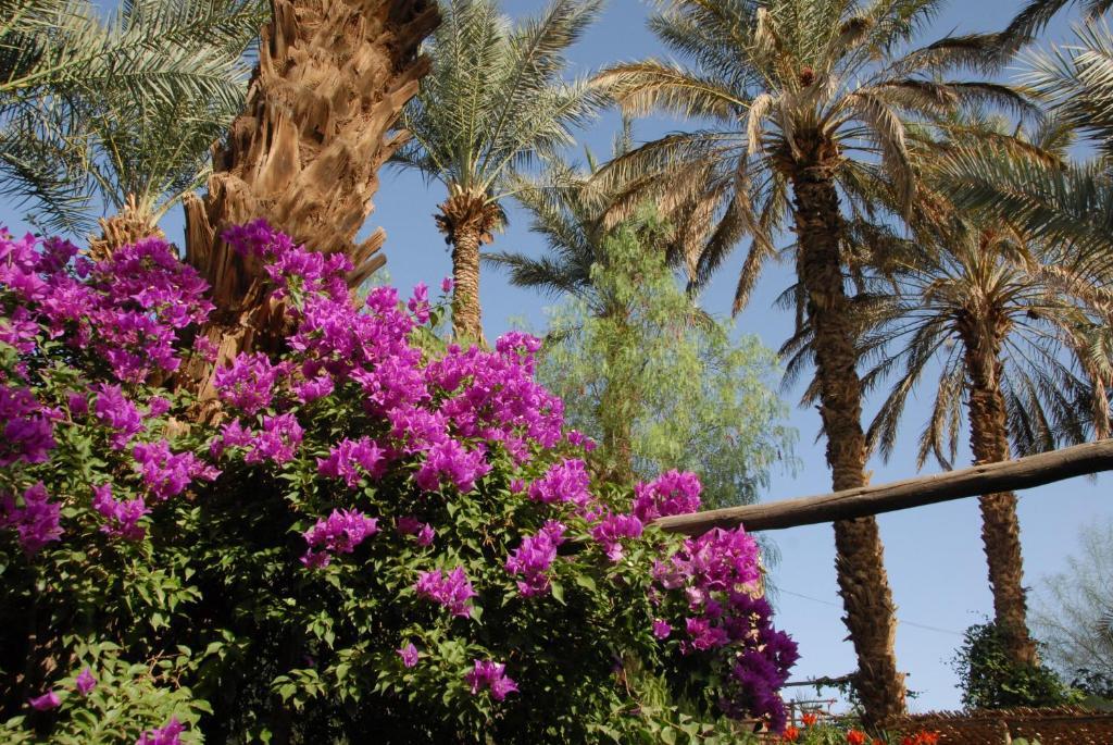 Villa Zagora Ma Villa Au Sahara Екстер'єр фото