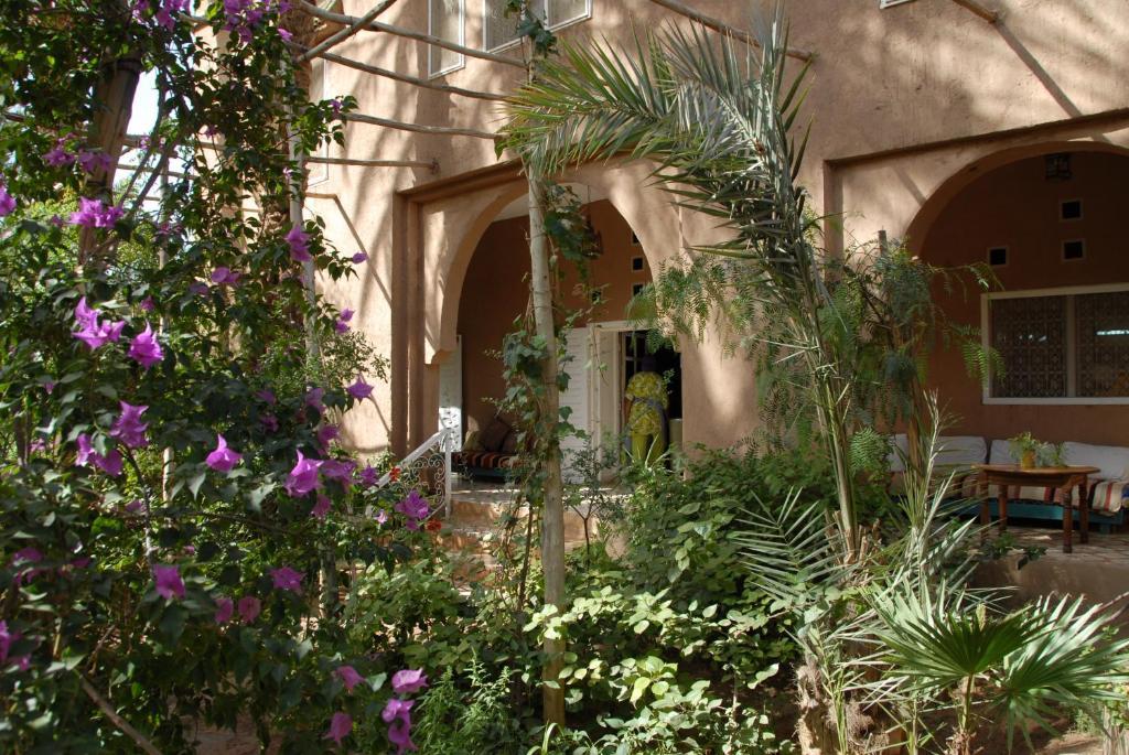 Villa Zagora Ma Villa Au Sahara Екстер'єр фото